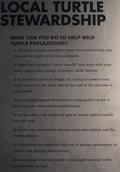 #Schummer14 turtle sign at National Mississippi River Museum