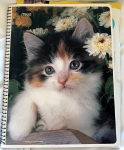 #schummer14 kitten notebook